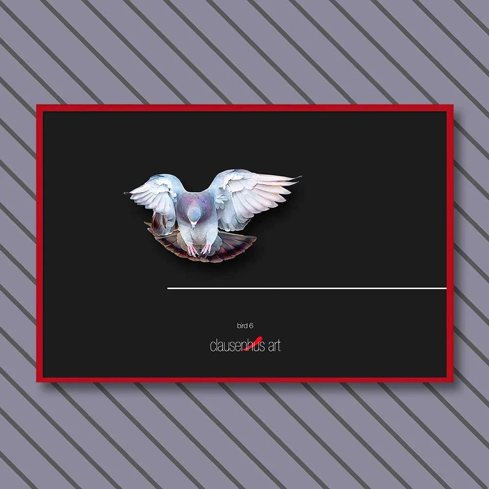 bird-6-copy.jpg