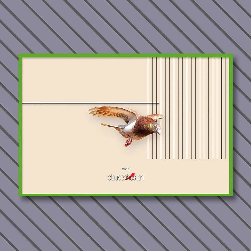 bird-9-copy.jpg
