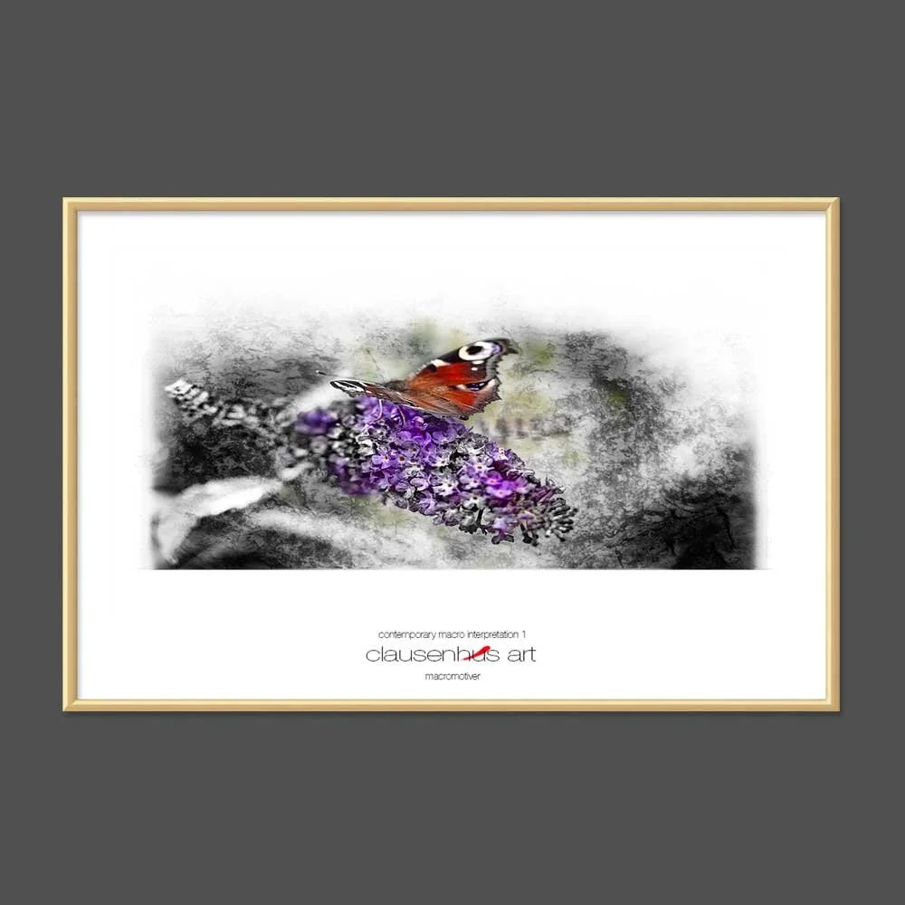 contemporary-macro-interpretation-1.jpg