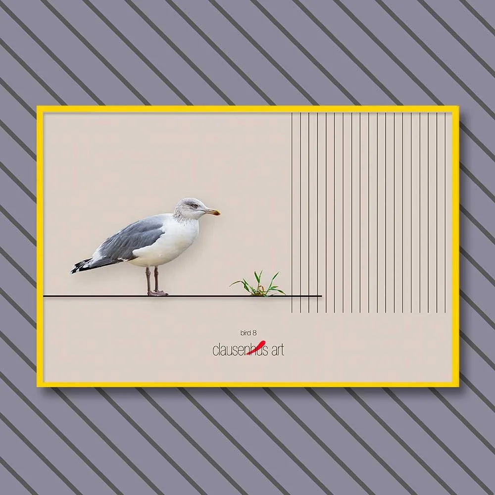 bird-8-copy.jpg