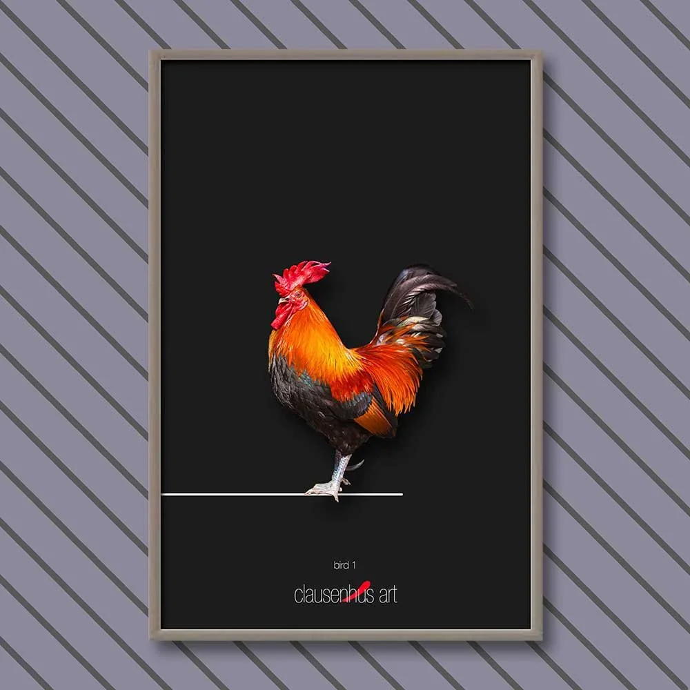 bird-1.jpg