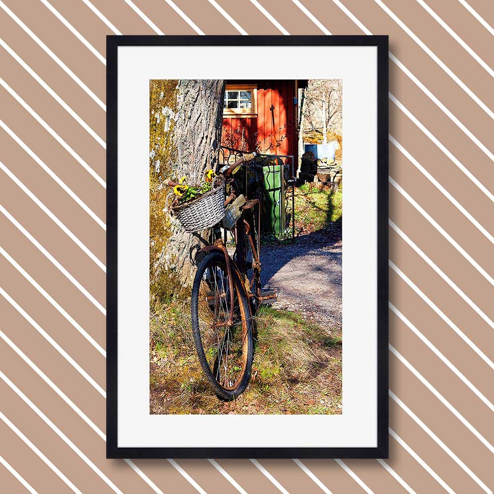 titel: blumenfahrrad