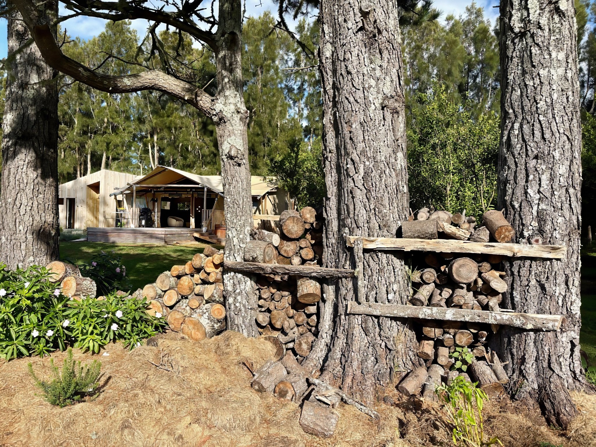 Luxury safari glamping lodge nestled in mandarin orchard, Black Swamp Road, Mangawhai