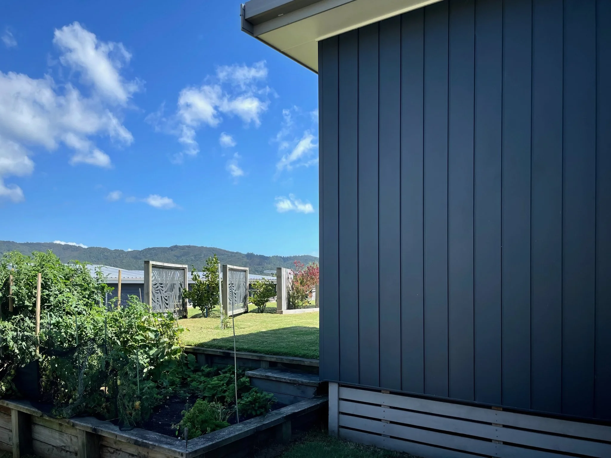 Driftwood new home family home exterior with dark cladding and kitchen garden, Mangawhai