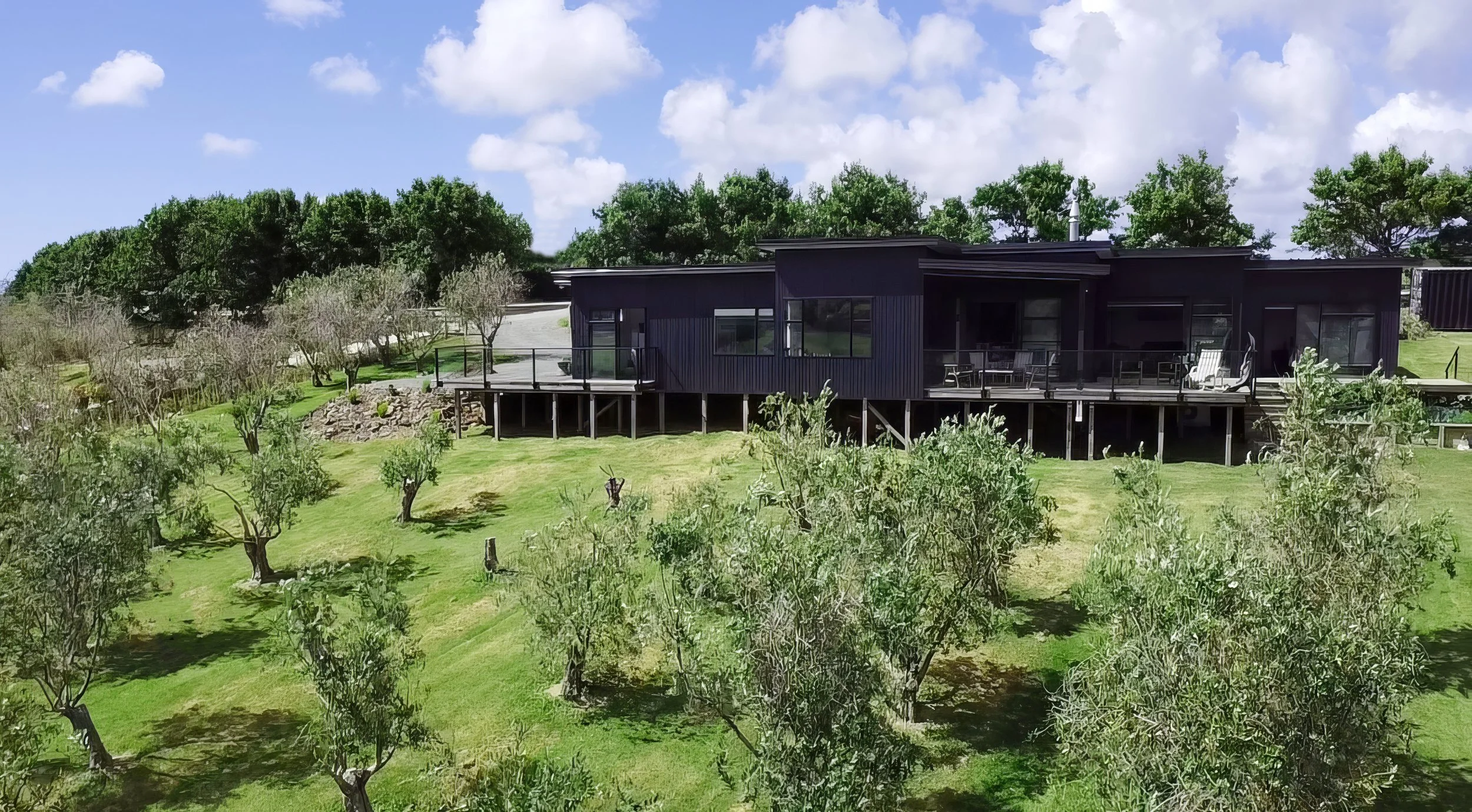 King Road new build aerial view surrounded by olive grove, Elite Building Northland