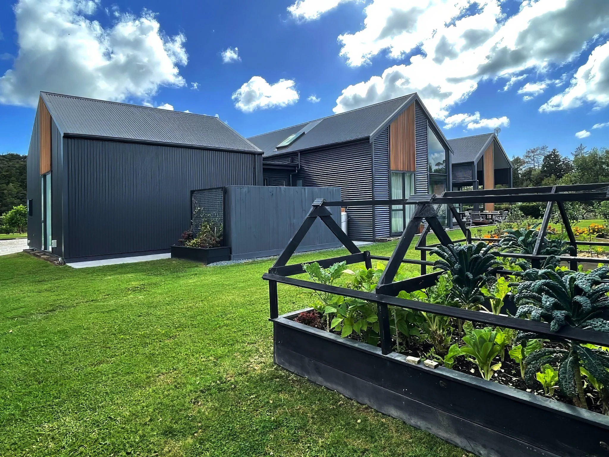 Alexandra Lane new home with cedar and colour steel exterior with vegetable kitchen garden, Elite Building Mangawhai