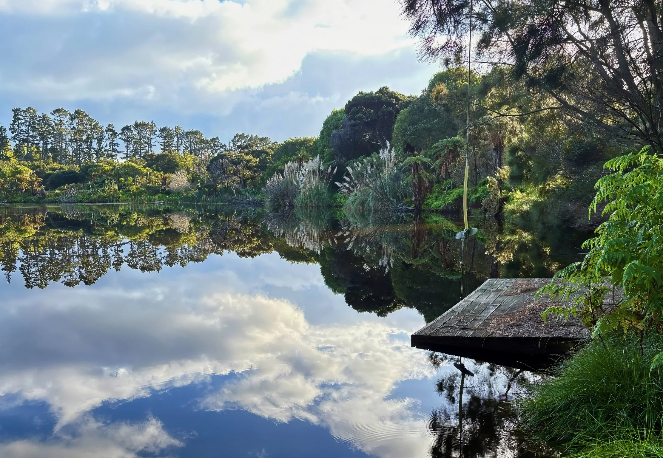 Lake reflection Black Swamp glamping retreat Northland