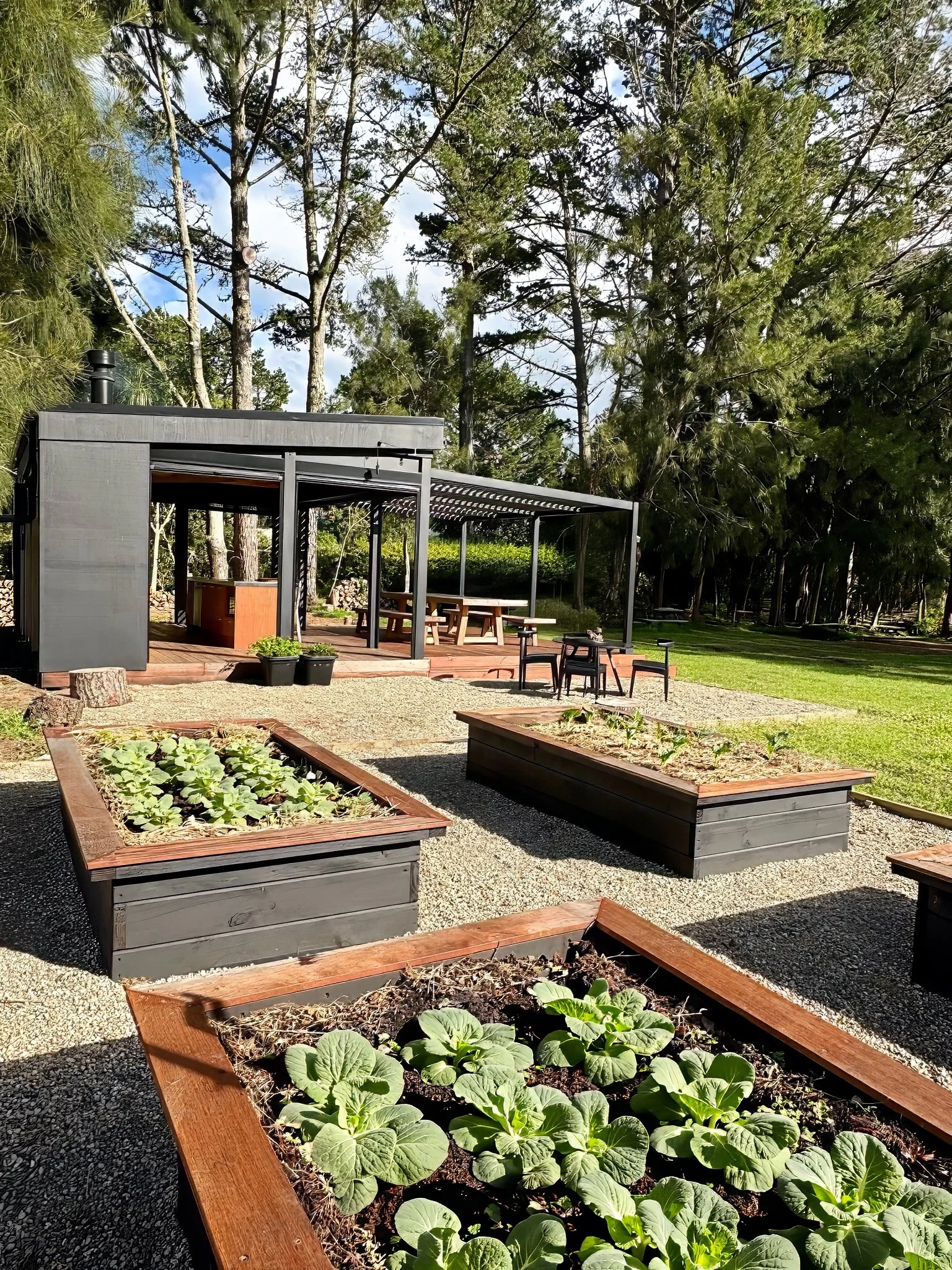 Pebbled courtyard and herb planter boxes, Black Swamp outdoor kitchen Northland