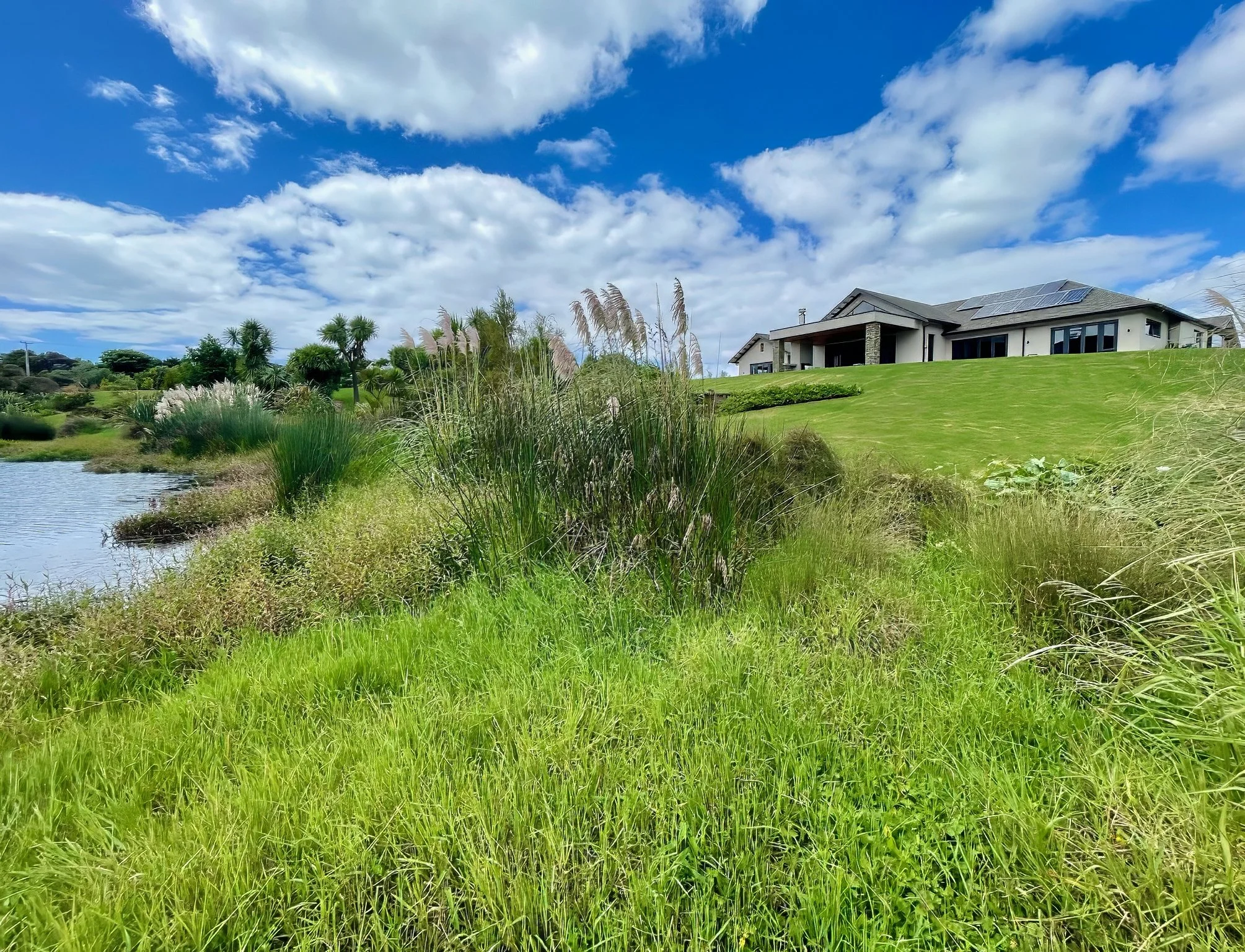 Sanctuary Lakeview new home with native wetlands and lake surroundings, Elite Building Northland