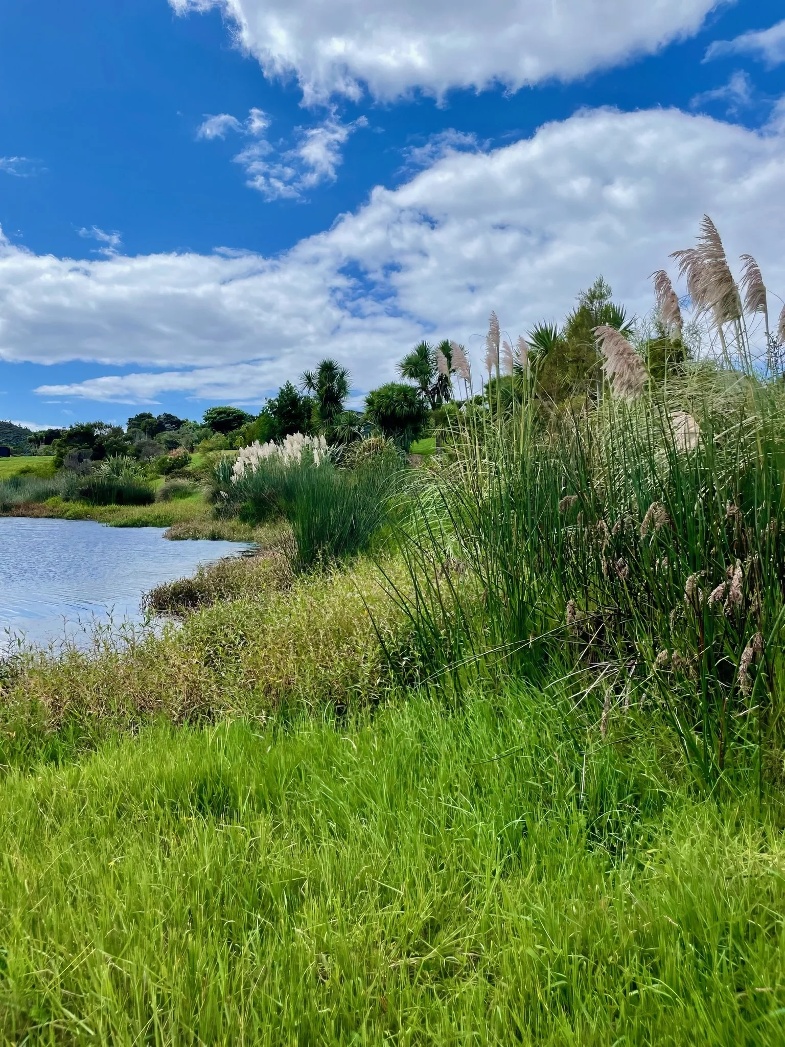 Sanctuary Lakeview new home with private lake and wetland views including pungas, Elite Building Northland