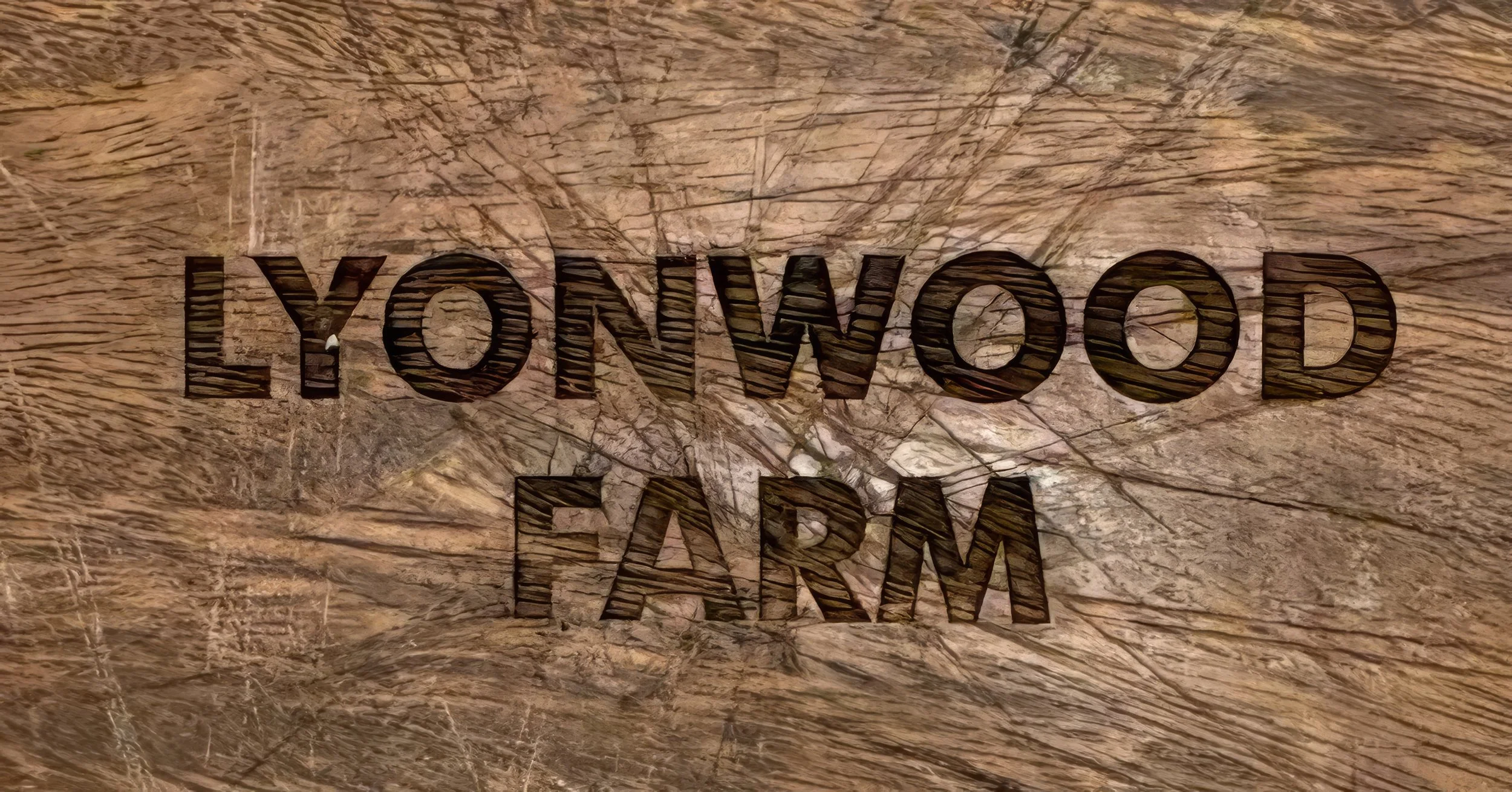 Lyonwood Farm wooden chopped board outdoor kitchen Black Swamp glamping lodge