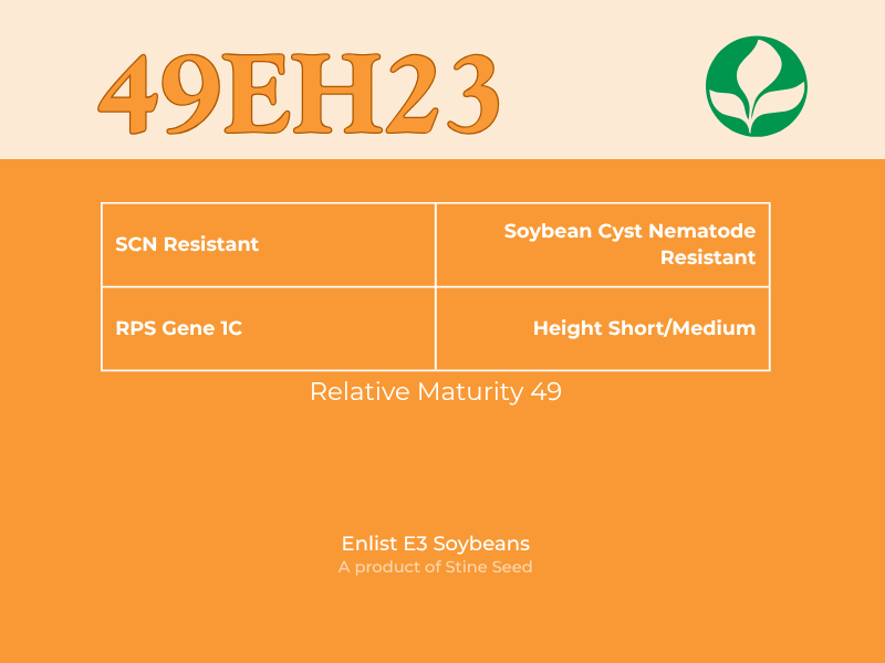 Infographic label 49EH23, an Enlist E3 soybean seed that has the RPS gene 1c and is resistant to SCN and soybean cyst nematode. With short to medium height and maturity rate of 49. A product of Stine Seed, featuring their green leaf logo.