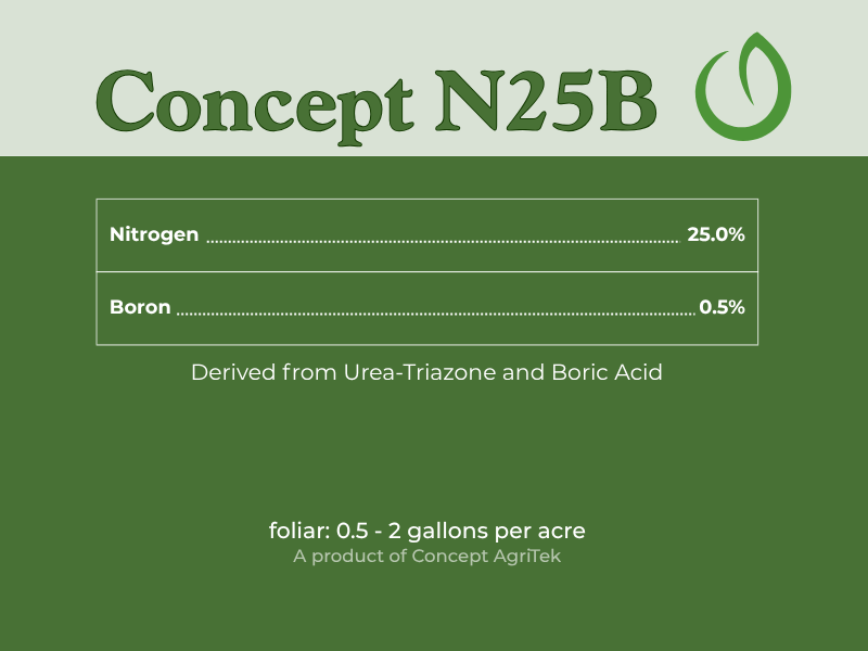 Concept N25B.png