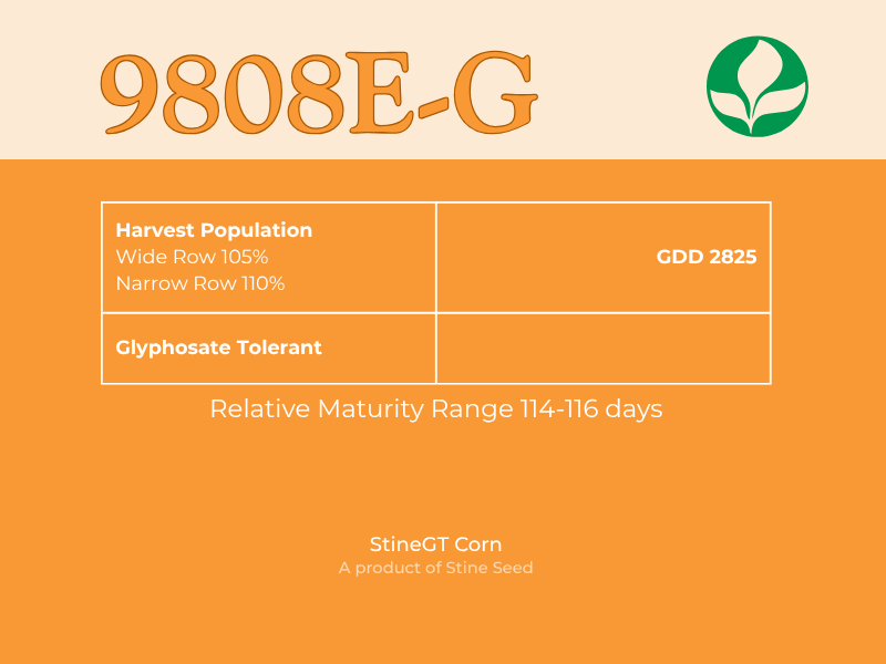Infographic label for 9808E-G, a Stine GT corn seed that is glyphosate-tolerant, with a GDD of 2825 and a maturity range of 114-116 days. A product of Stine Seed, featuring their green leaf logo.