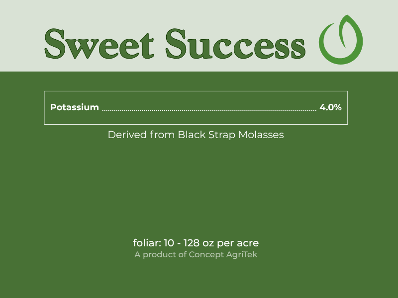 Sweet Success.png