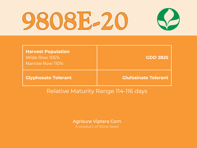 Infographic label for 9808E-20, an Agrisure Viptera corn seed. It is glyphosate and glufosinate tolerant, with a GDD of 2825 and a maturity range of 114-116 days. A product of Stine Seed, featuring their green leaf logo.
