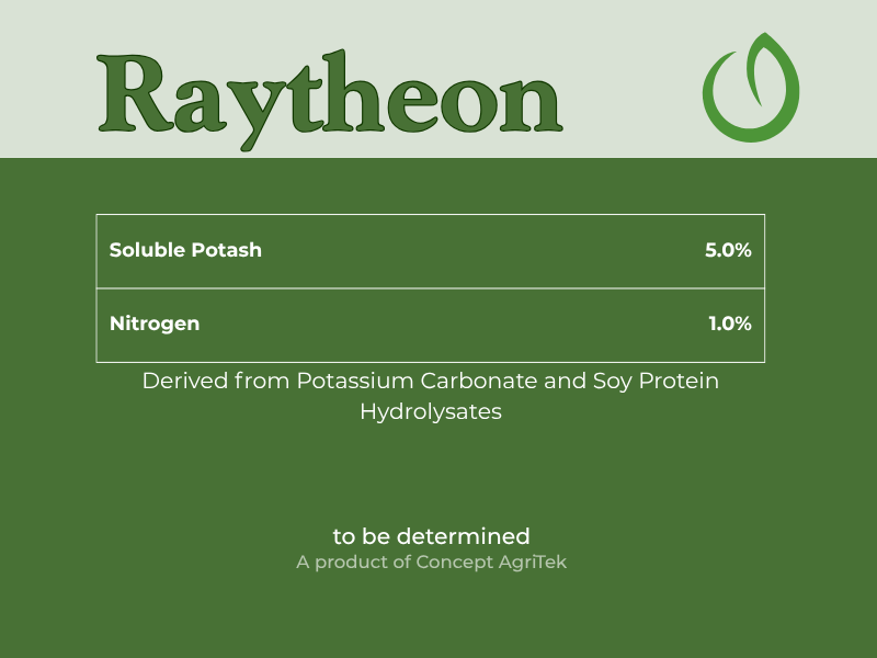 Raytheon.png