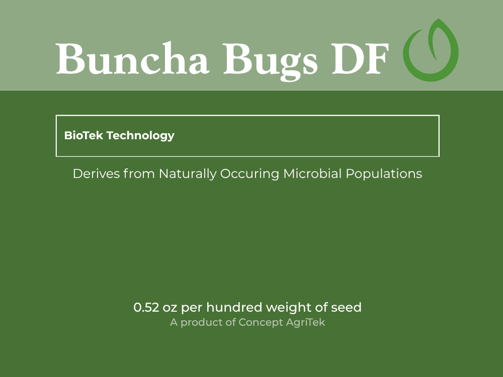 Buncha Bugs DF