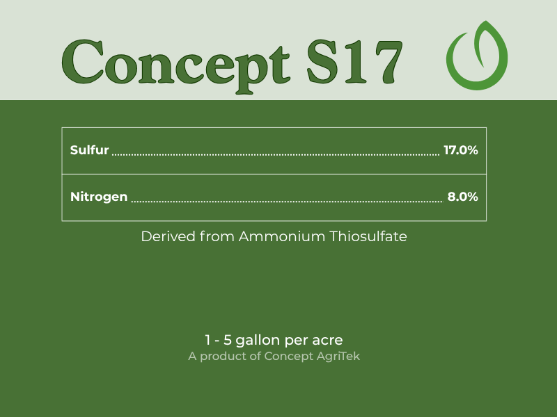 Concept S17.png