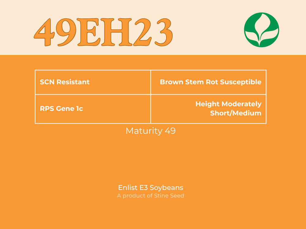 49EH23.png