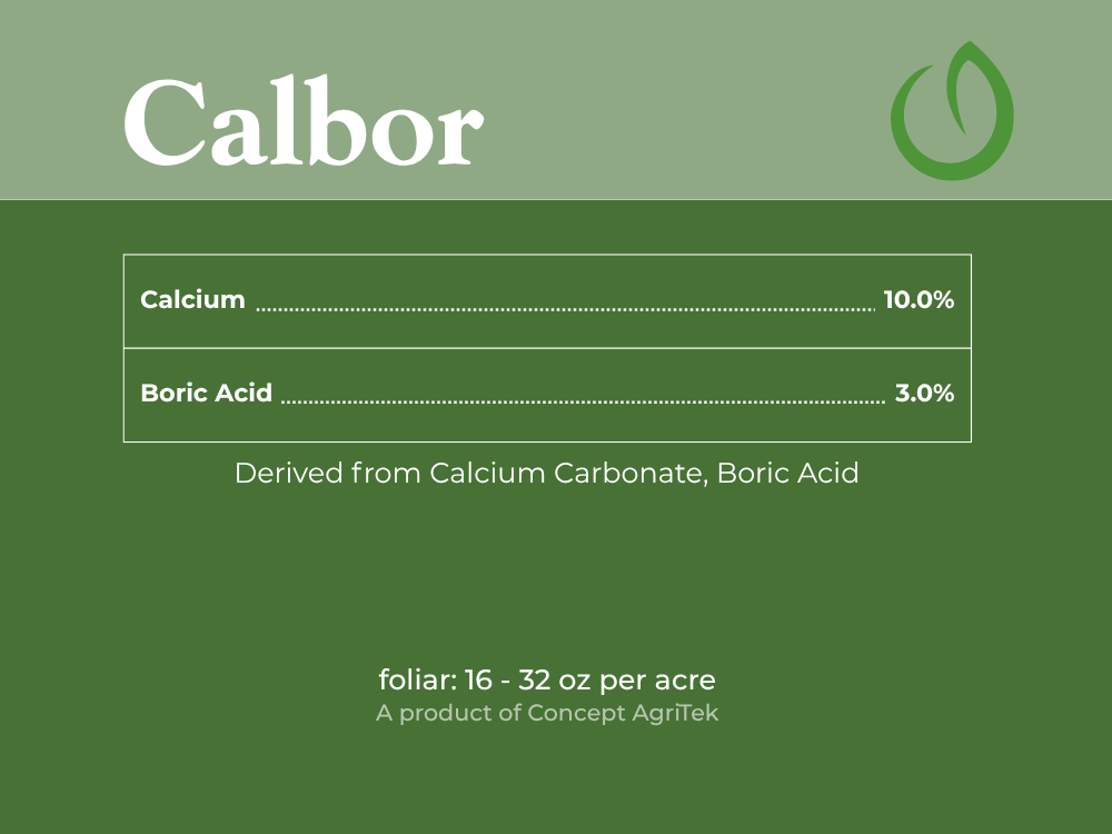 Calbor Jugs