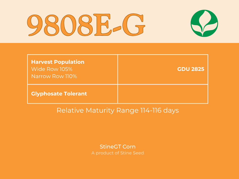 9808E-G Corn
