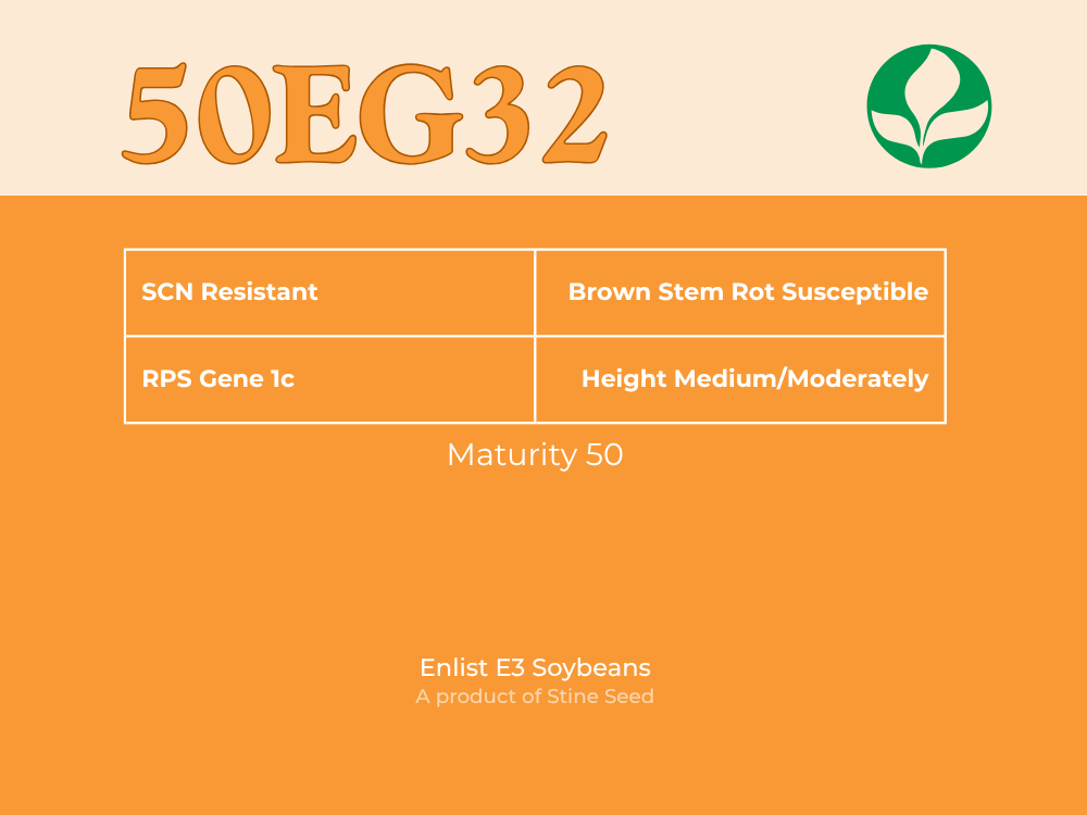 50EG32 Soybeans