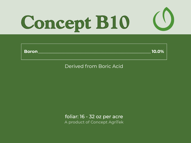 Concept B10.png