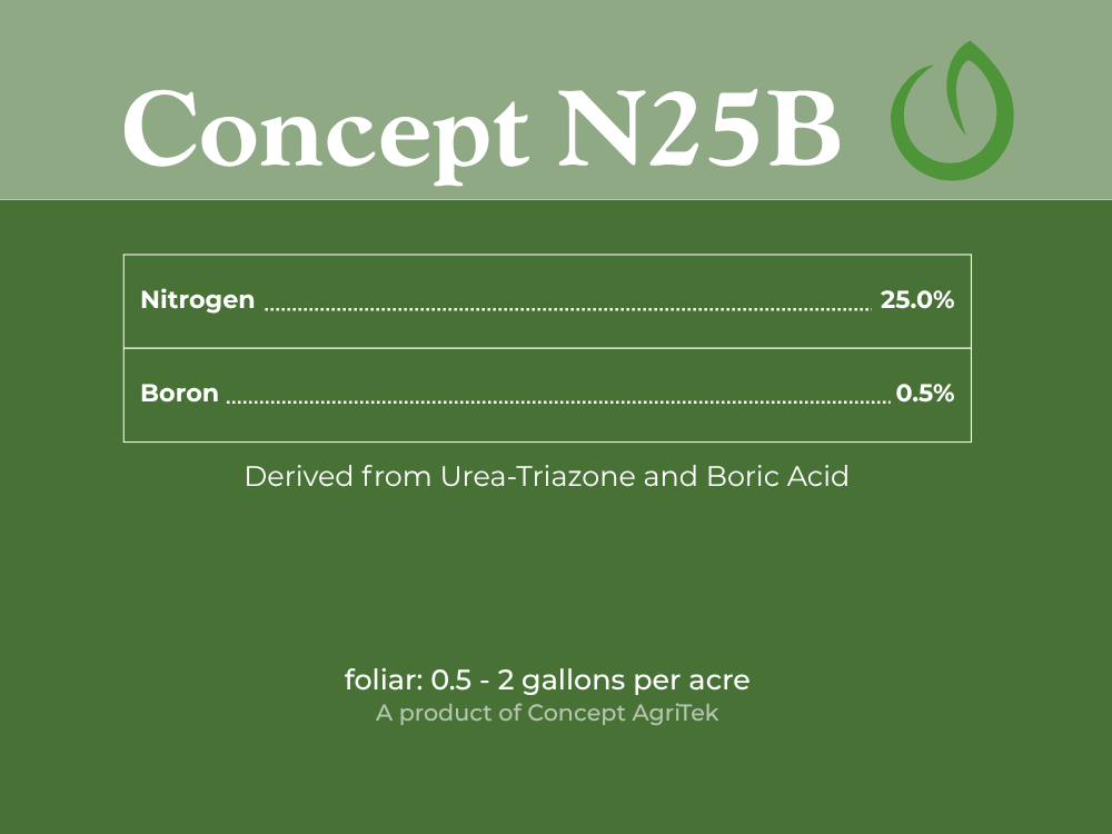 N25B