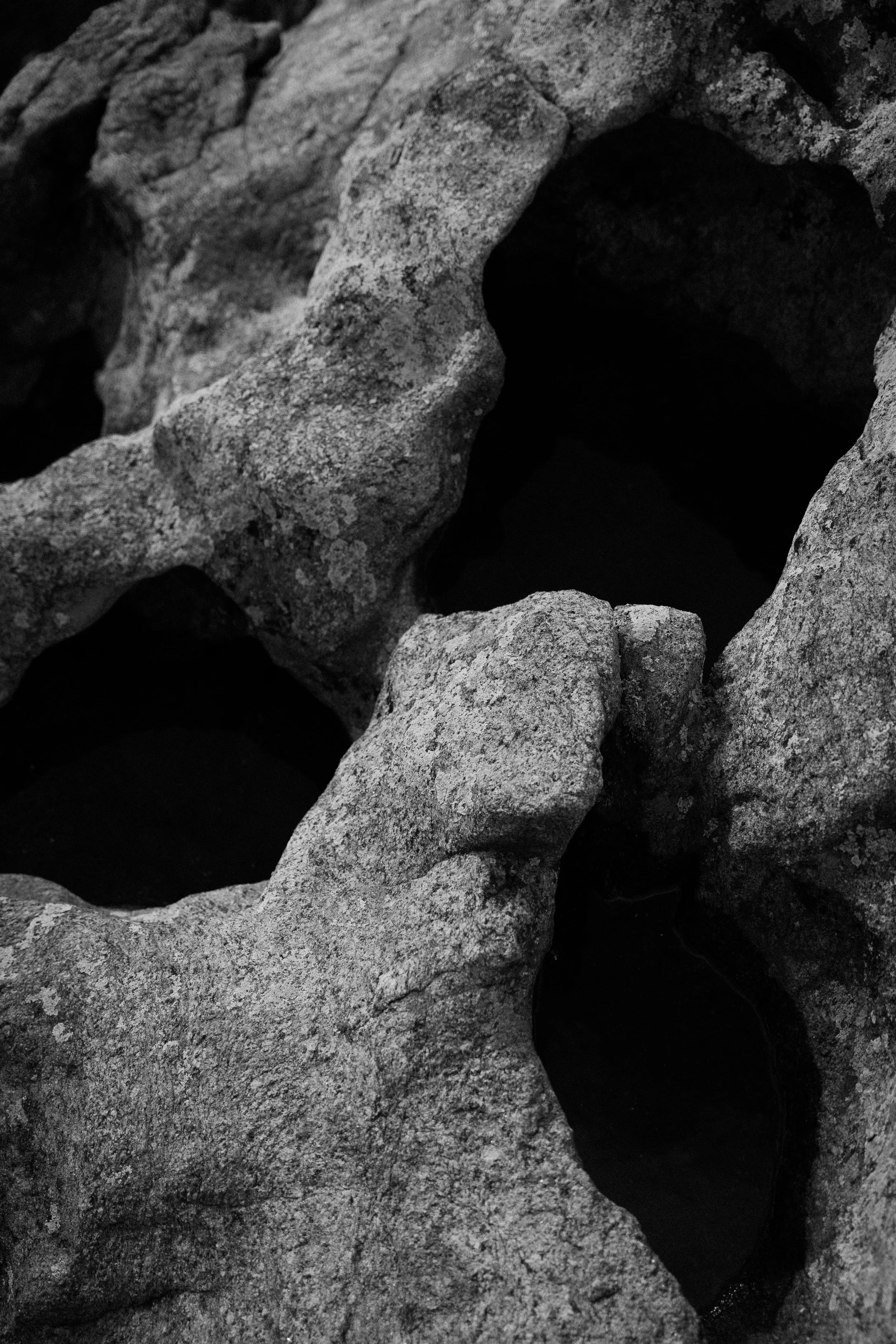 graham-mansfield-1xP_SZpL-U0-unsplash.jpg