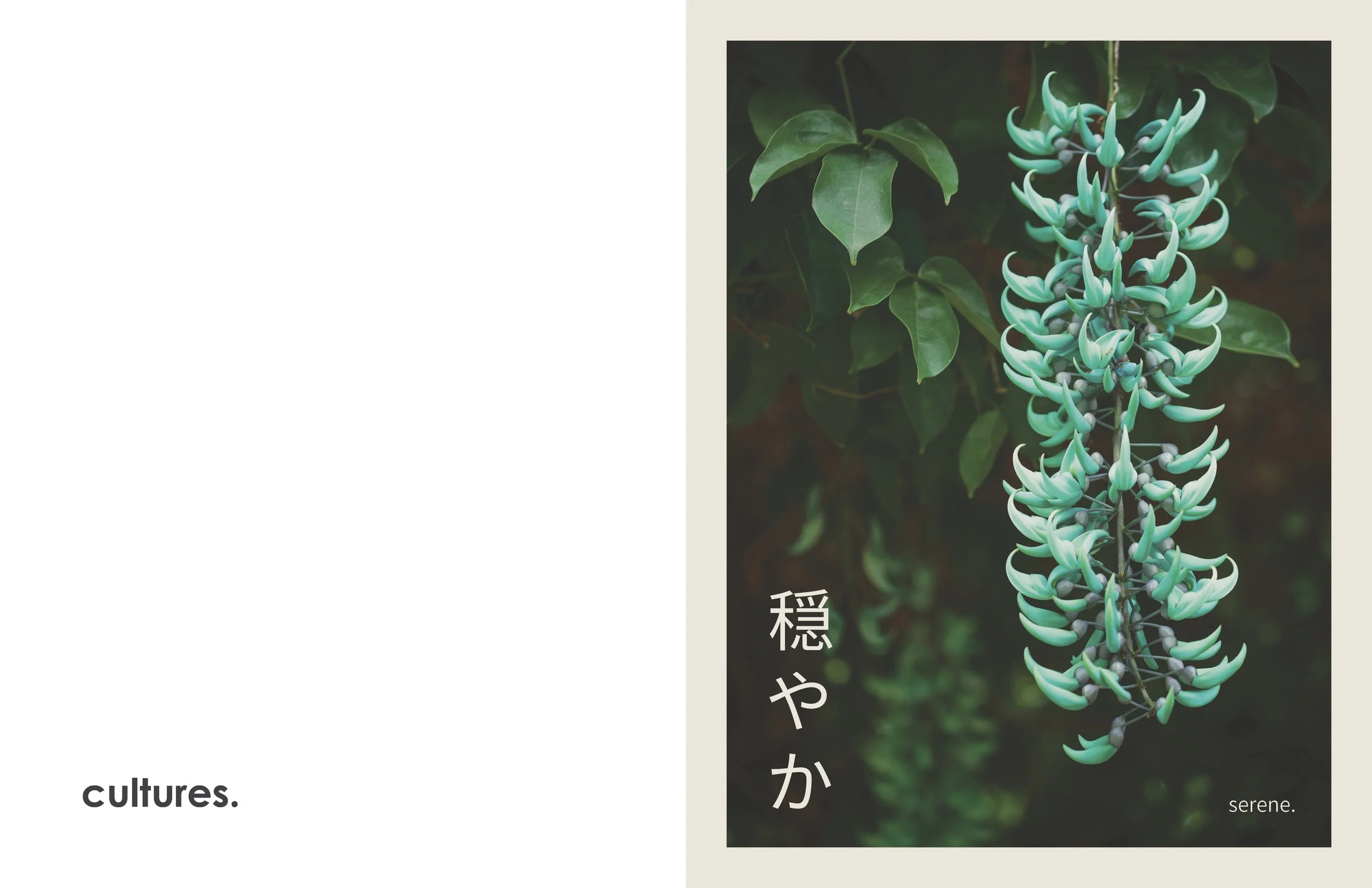 Atlas Magazine_page9.jpg