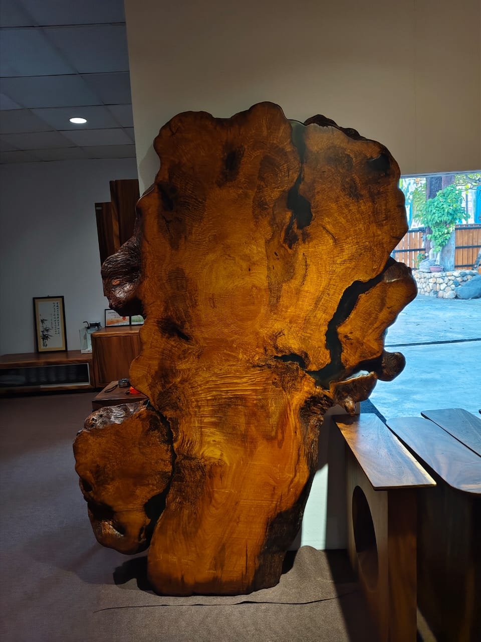 Merbau Kuning Burl Slab.jpeg