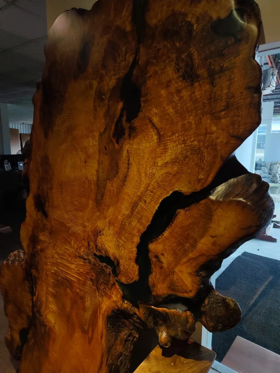 Merbau Kuning Burl Slab2.jpeg
