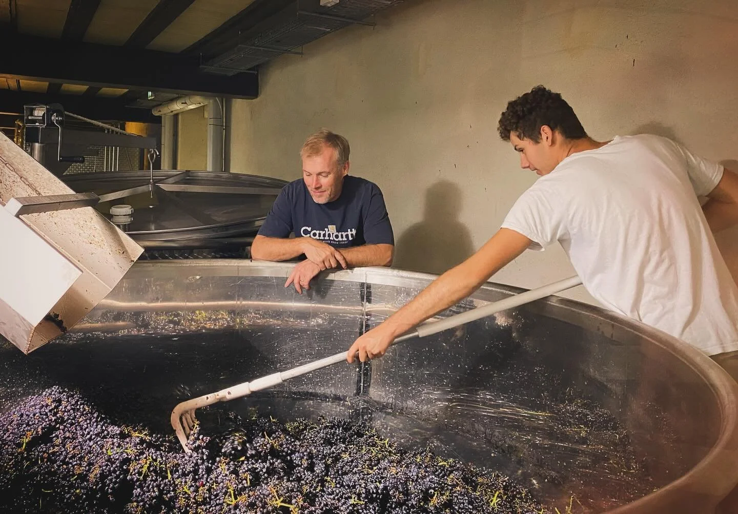 Souvenir des vendanges 2025: remplissage des cuves avec des belles grappes enti&egrave;res (et/ou baies &eacute;rafl&eacute;s d&eacute;pendant le terroir)
🍇💪
A look back at harvest 2025: filling up our tanks with beautiful whole clusters (and/or de