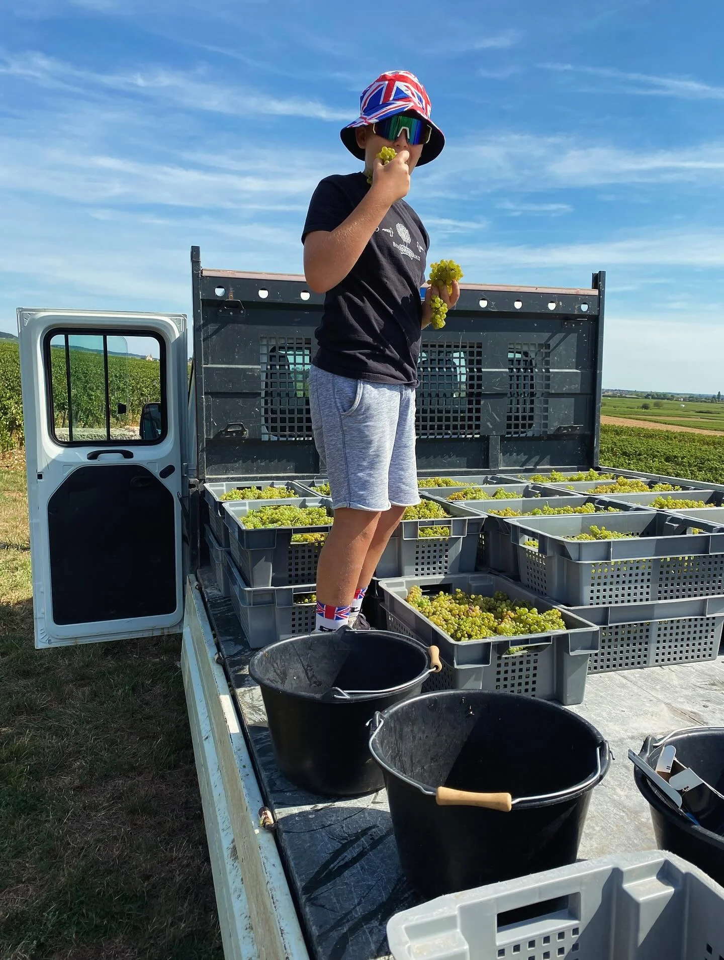 R&eacute;colte de Meursault 1er Cru les Genevri&egrave;res Dessus par une partie de notre &eacute;quipe le 23 Ao&ucirc;t.  Contr&ocirc;le de qualit&eacute; par Oscar et du beau temps par la dame nature!
🌞✂️🍇
Picking our #Meursault1erCruGenevri&egra