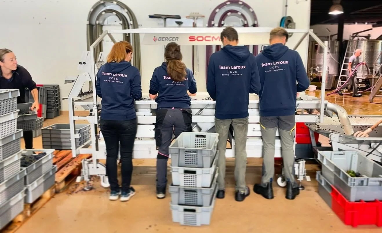 Merci &agrave; l&rsquo;&eacute;quipe de la table de tri!
🍇👌
Thanks to the sorting table team!
✂️
#vendanges2025 #harvest2025 #TableDeTri #SortingTable #bourgogne #burgundy #PinotNoir #BravoLEquipe #TeamWorkMakesTheDreamWork