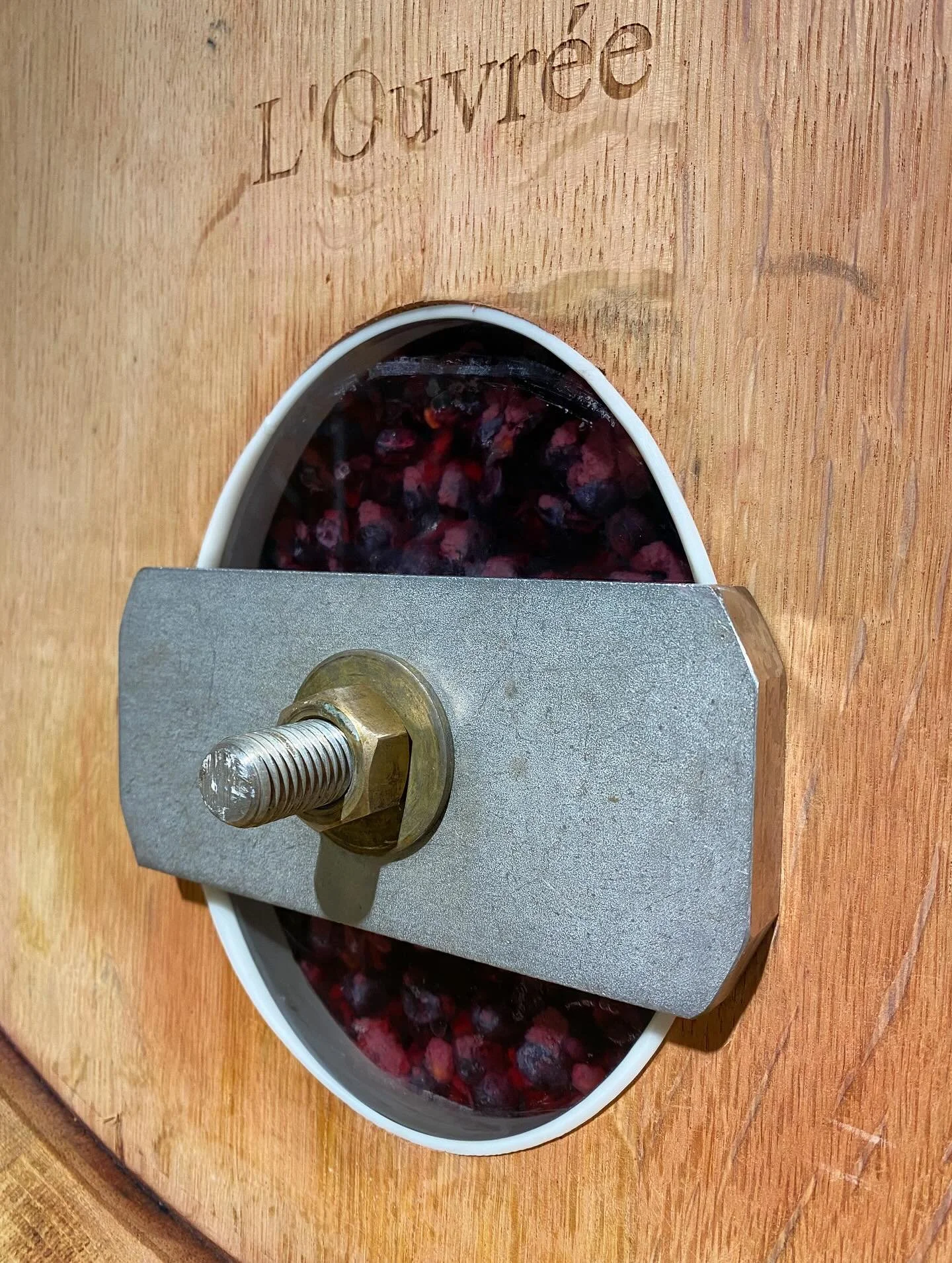Vue depuis l&rsquo;hublot: une partie de notre Bourgogne Pinot Noir 2025 a fait sa fermentation alcoolique et mac&eacute;ration dans des f&ucirc;ts de 500L, avant d&rsquo;&ecirc;tre transf&eacute;r&eacute; &agrave; notre pressoir vertical. Chaque mil