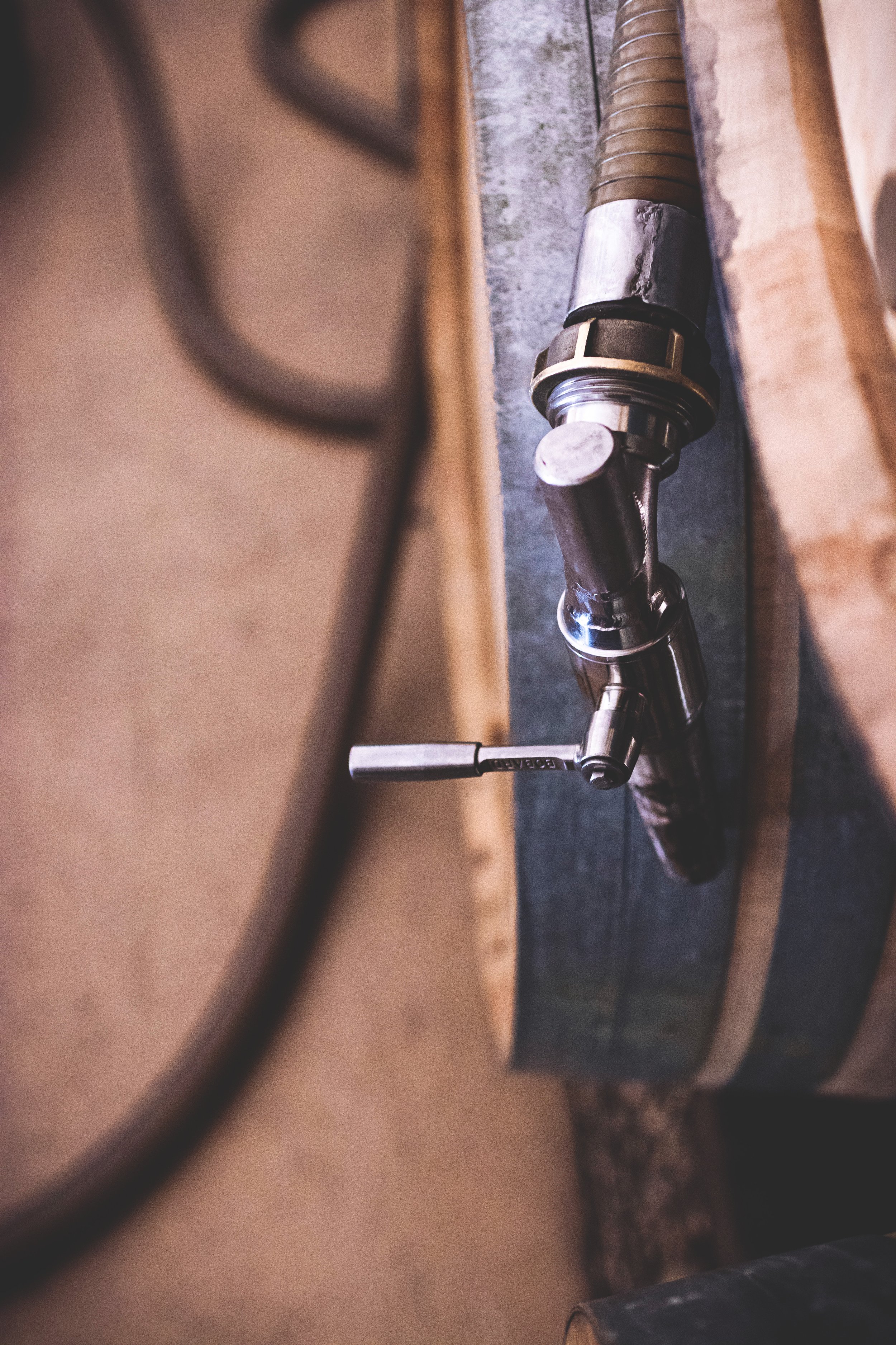 034 HD - Domaine Benjamin Leroux - Vendanges 2024 - Photo-Terroir.jpg
