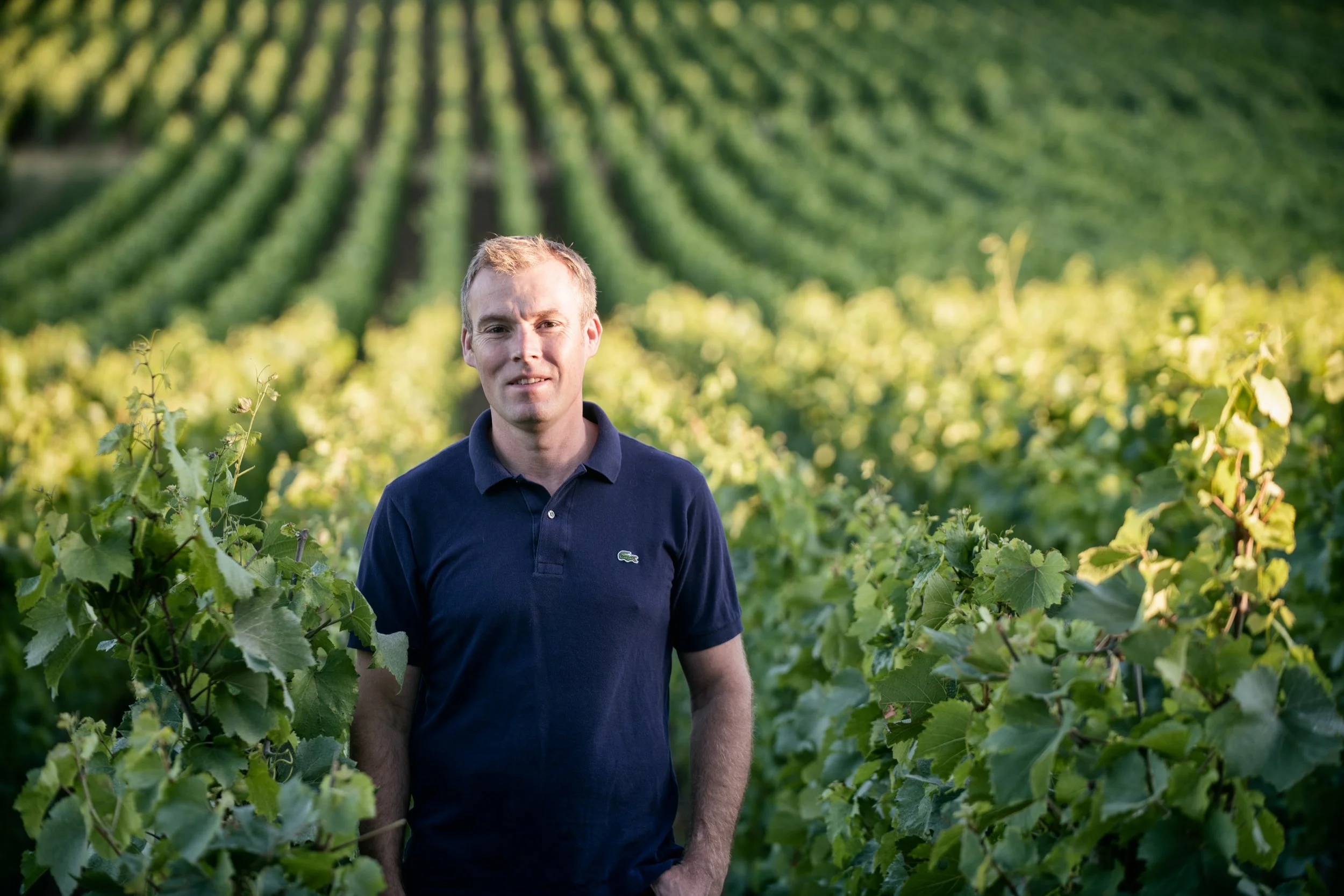 Benjamin Leroux standing in his rows of grapevines.