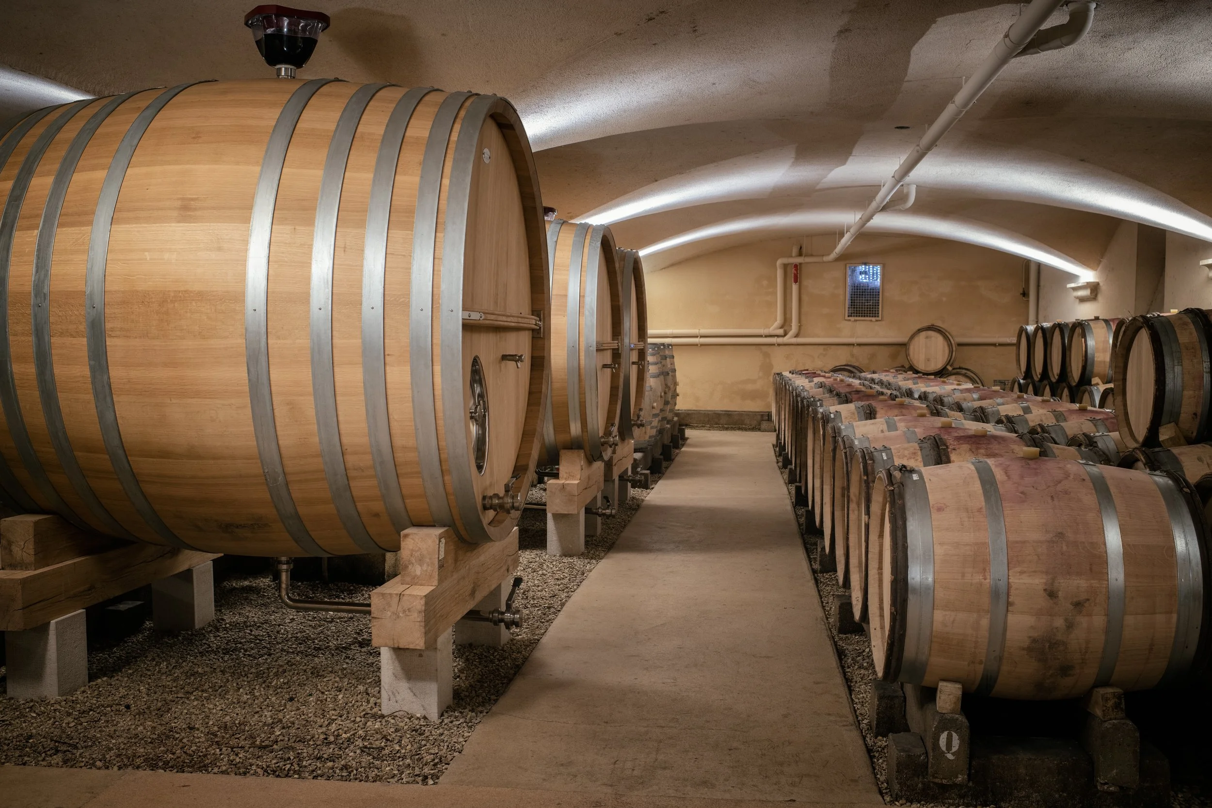 Domaine benjamin leroux-MJ-12.jpg