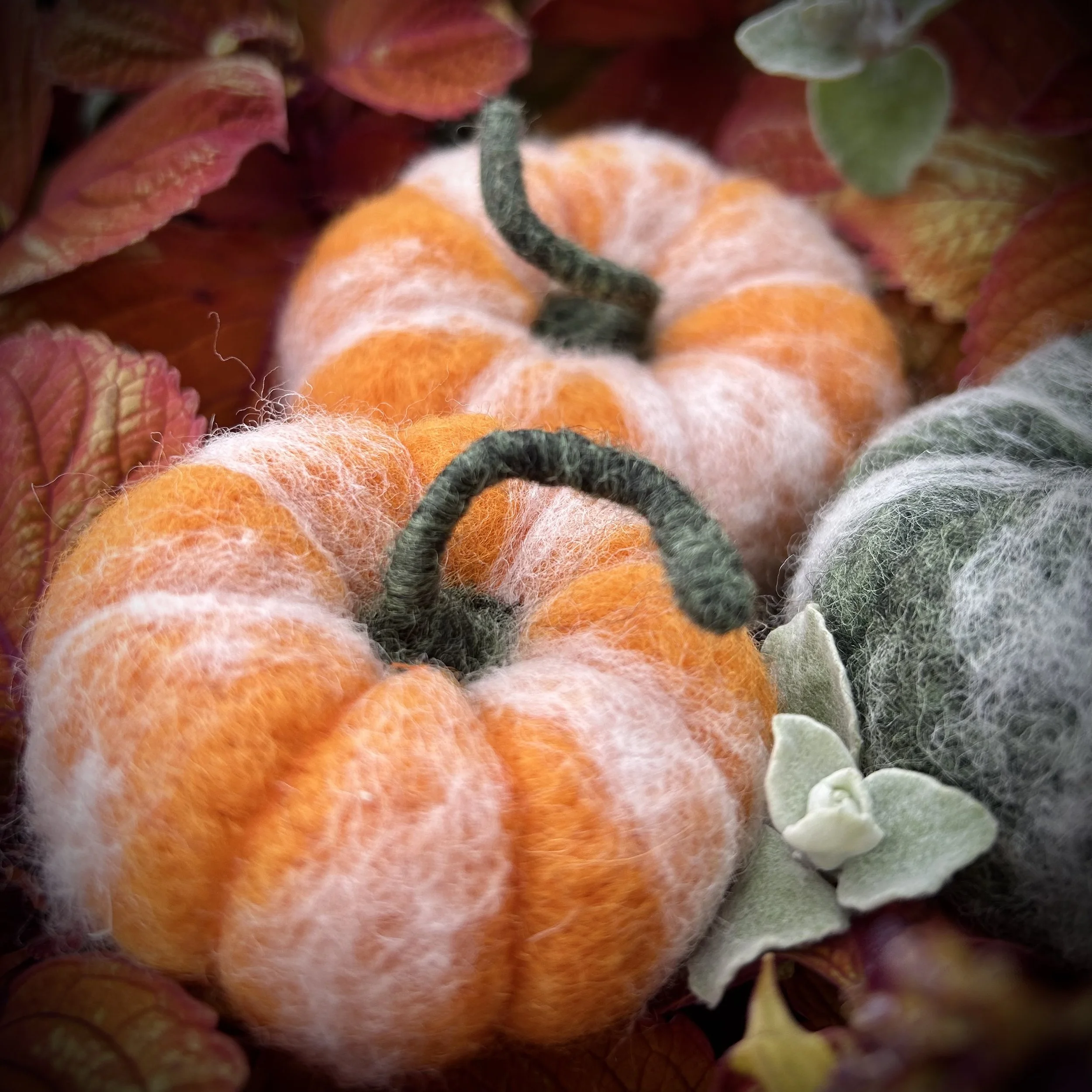 Felted Pumpkins