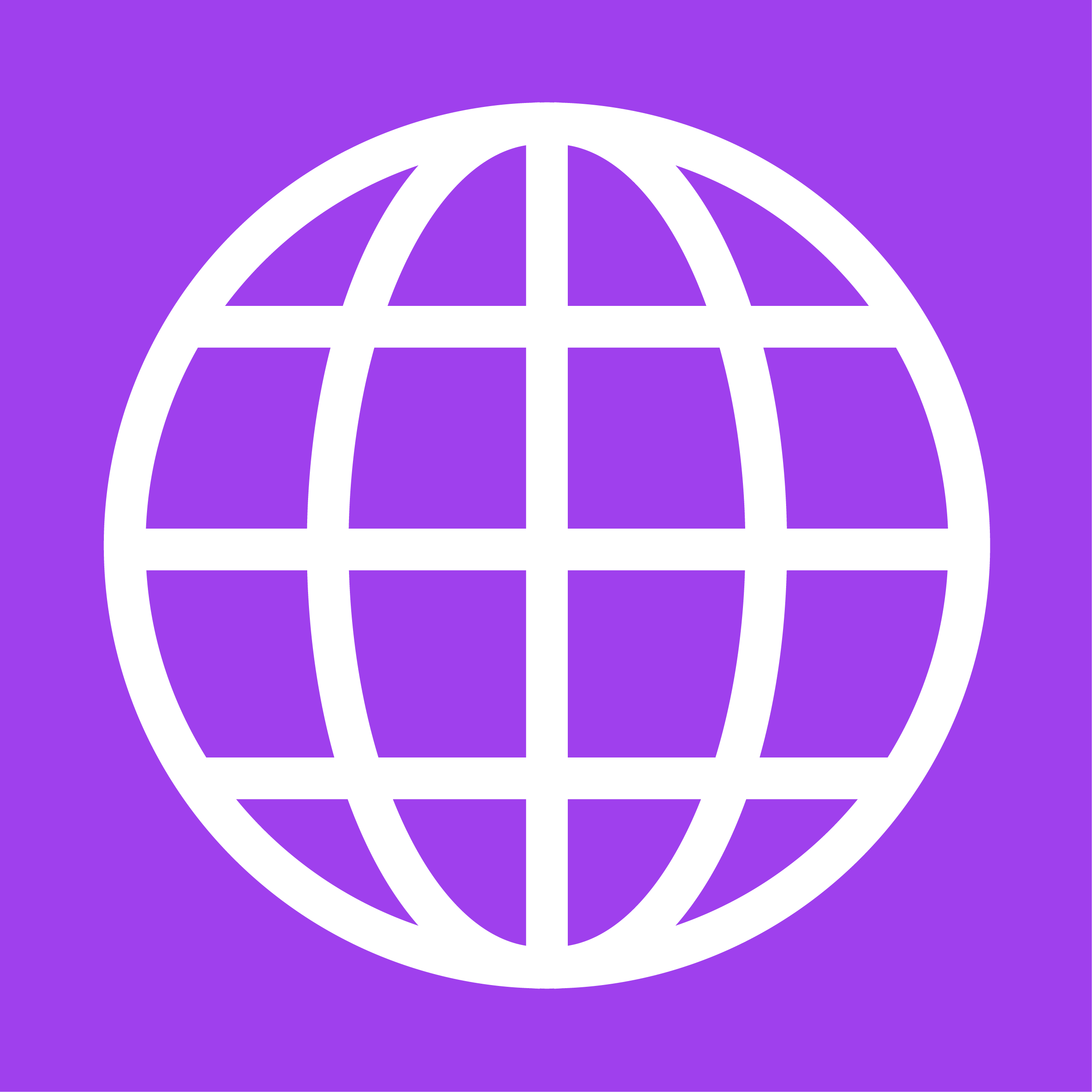 Icon of a globe with latitude and longitude lines on a purple gradient background.