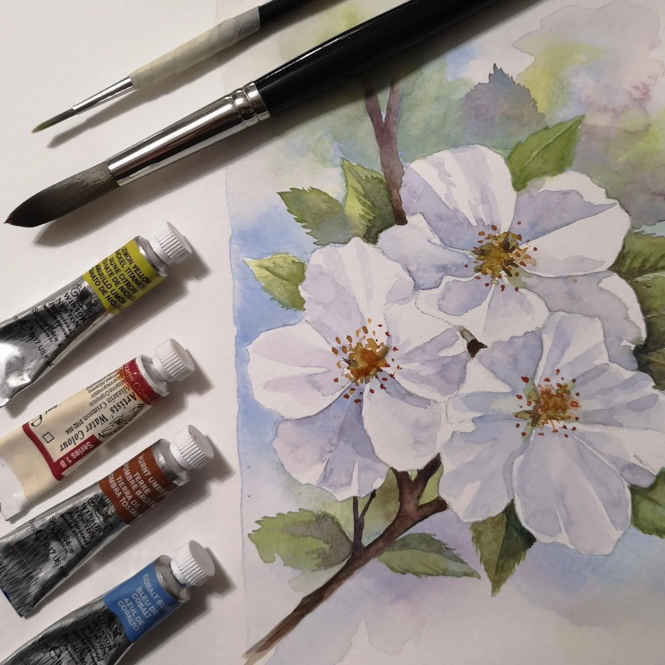 Watercolour at Centro Lounge