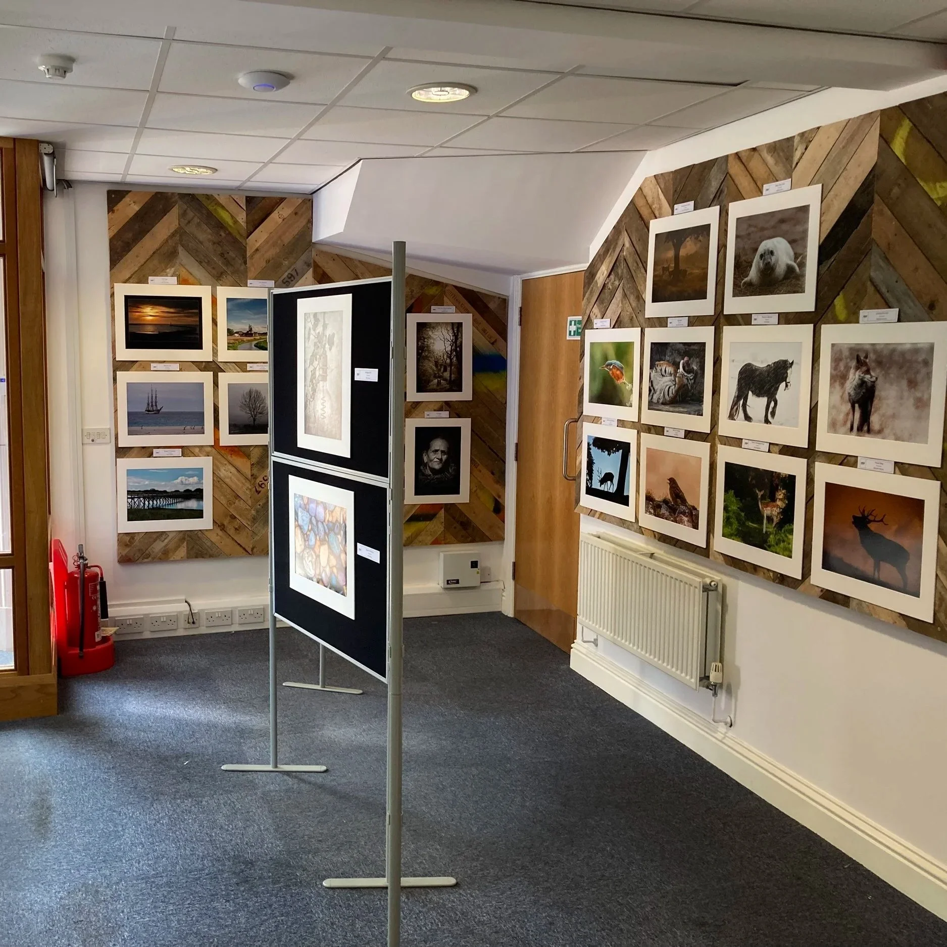 Charnwood Arts art gallery with framed photographs and paintings on the walls.