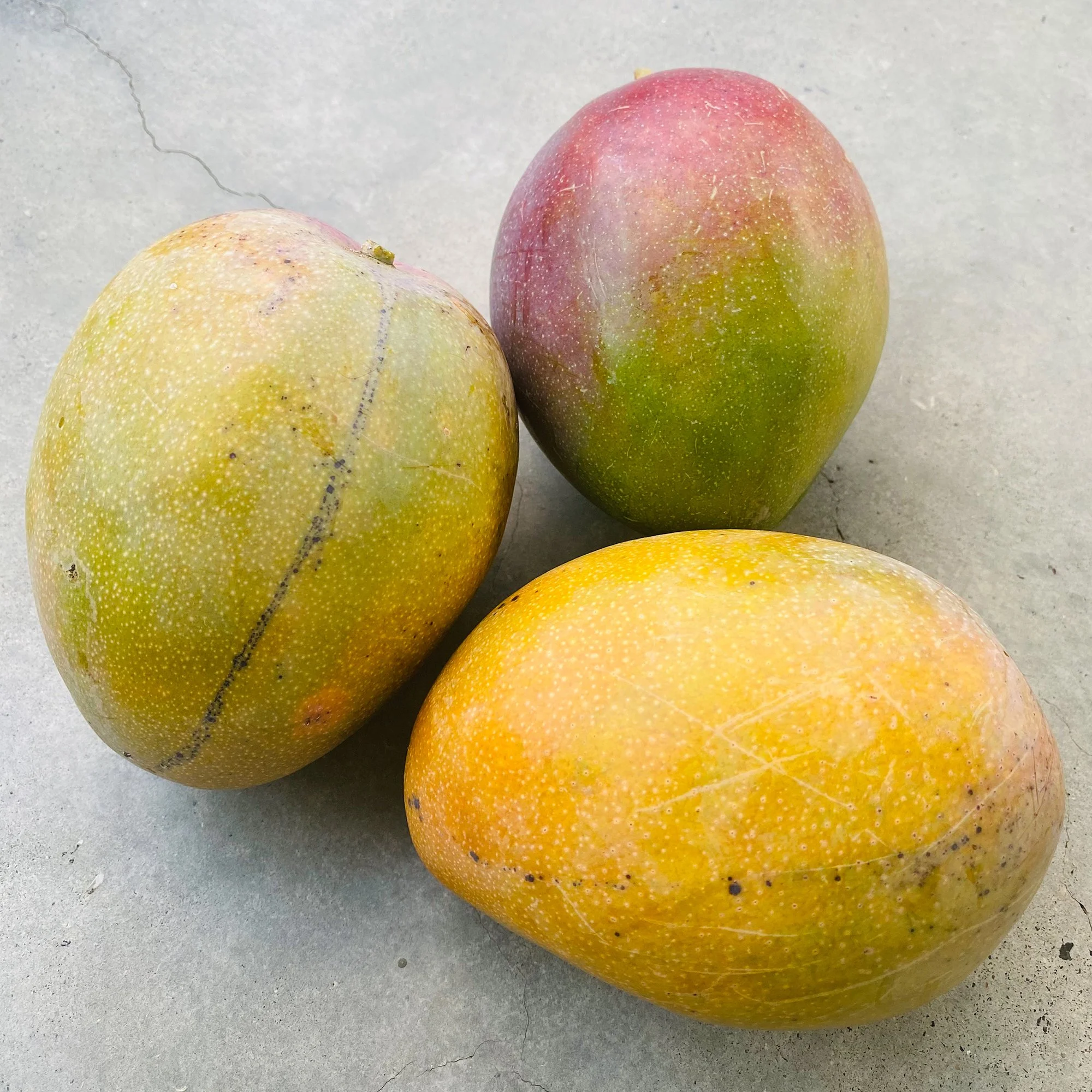 5 varities of Mangoes