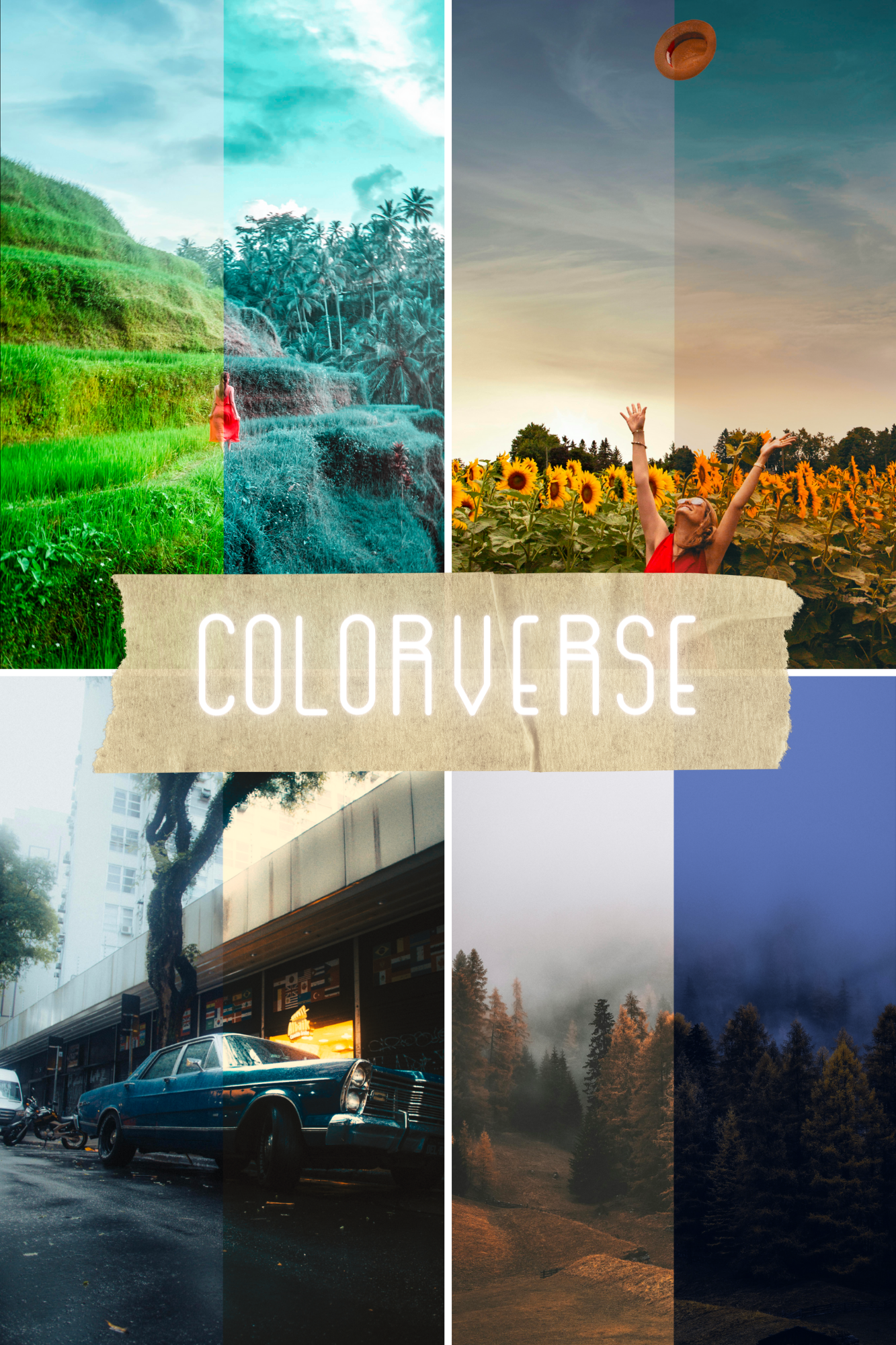 ColorVerse LUT Pack (10+1 Pack)