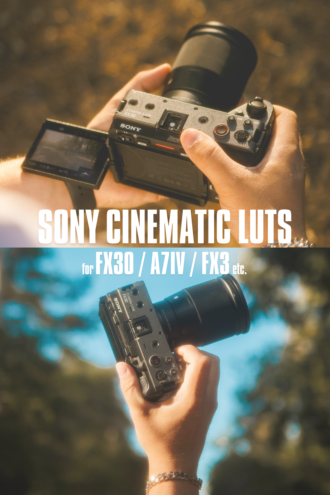 Sony Cinematic LUTs