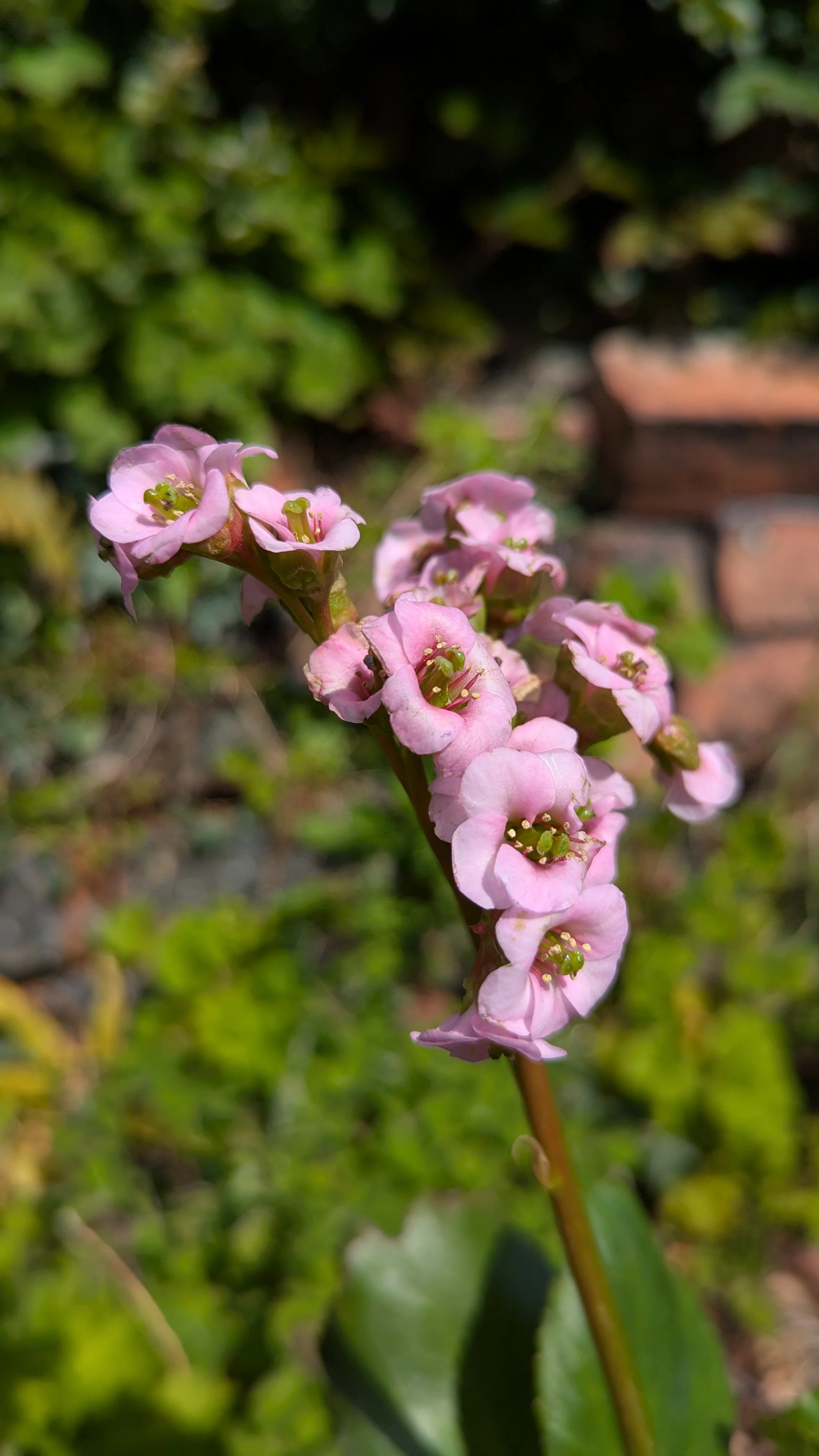 Fairytale Romance.jpeg