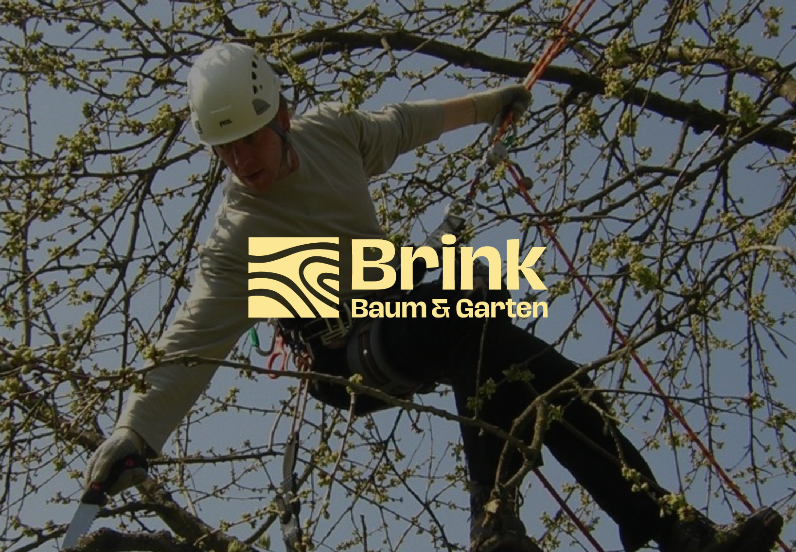 BBG_Brink_porfolio_Logo_Sue_Goeldner.png