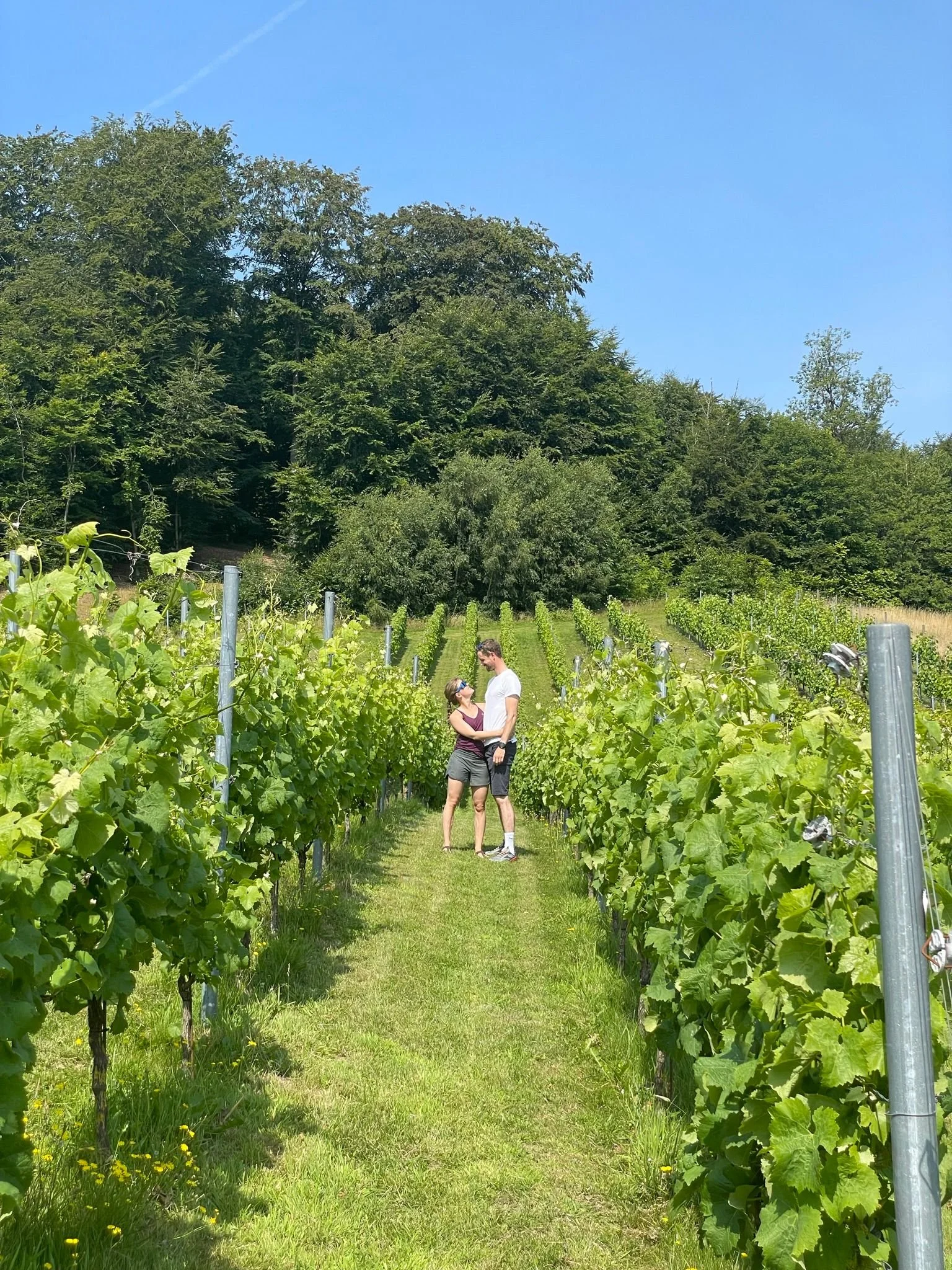 WhatsApp Image 2024-03-10 at 16.29.53_e2db47c2.jpg